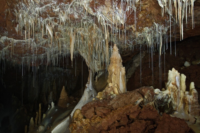  foto: Jaro Stankovič