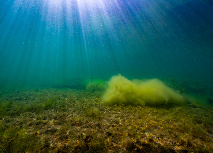 Jezero Most, zajímavá tréninková lokalita pro potápěče foto (c) MejlaD 2020