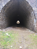 Lom Požáry - historizující vjezdový tunel malodrážky foto Líza (c) 2019