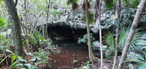 Mexico, cenotes, vstup do podzemífoto (c) Speleoaquanaut 2022