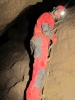 Slovenský kolega Palo sestupuje po provazovém žebříku k sifonu (foto: Jan Kokavec) Pustá jeskyně, 3.2.2012