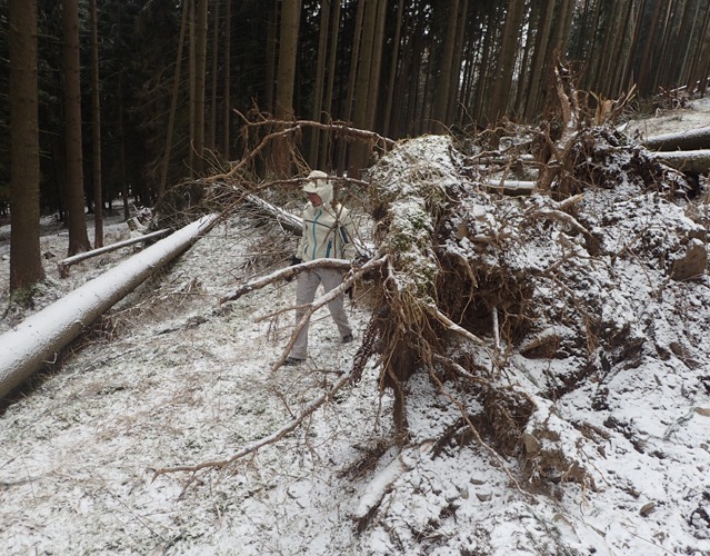 Pohádkové, byť místy až krkolomné terény cestou k jeskyni foto (c) DrKozel