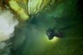 Kal stíhající potápěče foto (c) Mejla